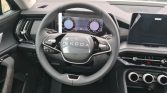 Skoda Kodiaq 12