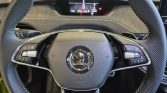 Skoda Enyaq 10 1