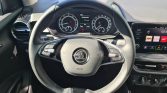 Skoda Fabia 12