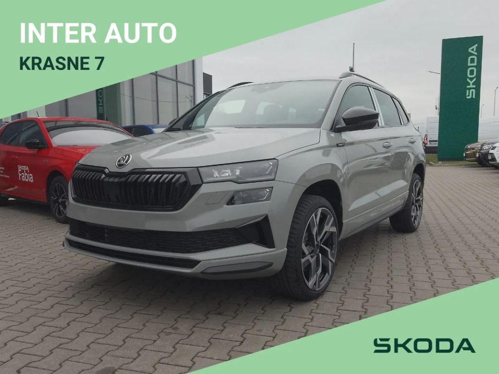 Skoda Karoq 1 1