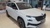 Skoda Karoq 3