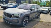 Skoda Kodiaq 1 1