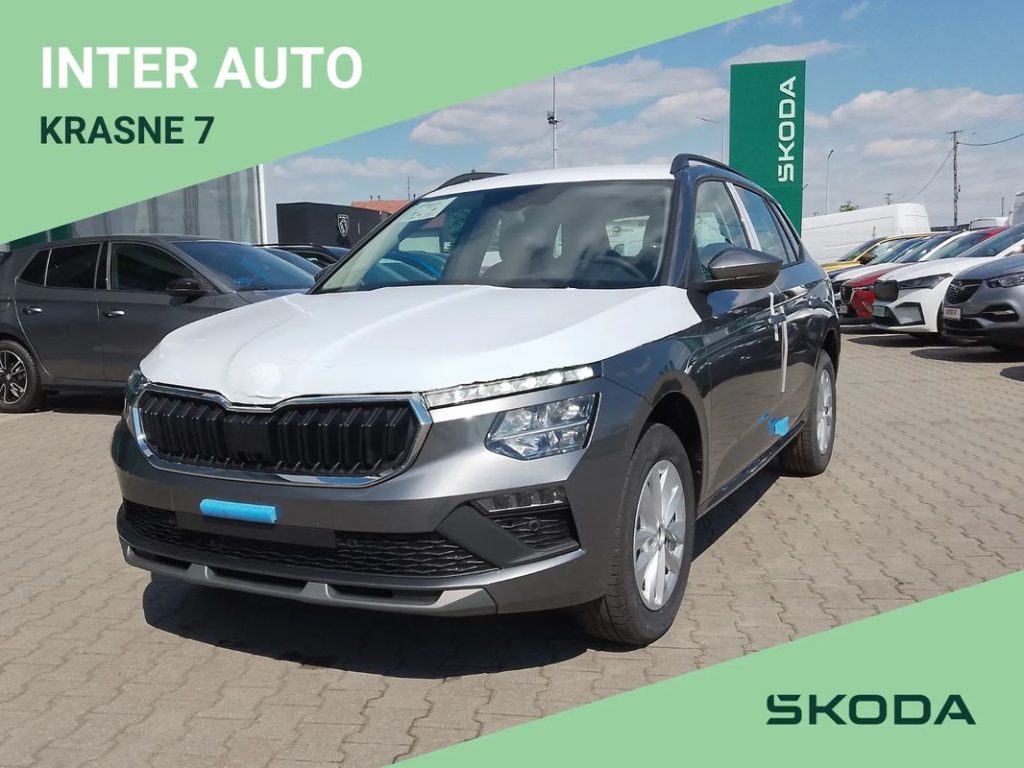 Skoda Kamiq 1