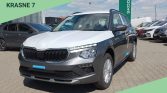 Skoda Kamiq 1