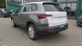 Skoda Karoq 6 2