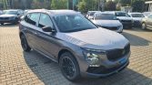 Skoda Kamiq 1 3