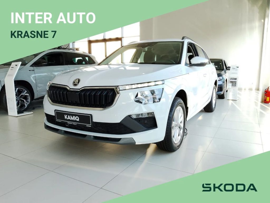 Skoda Kamiq 1 7