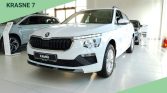 Skoda Kamiq 1 7