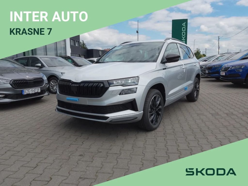 Skoda Karoq 1 13