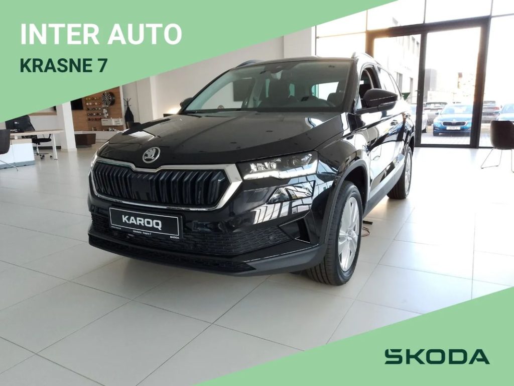 Skoda Karoq 1 15