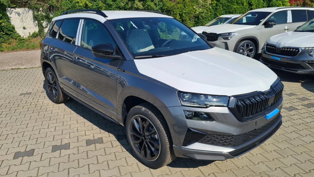 Skoda Karoq 1 19