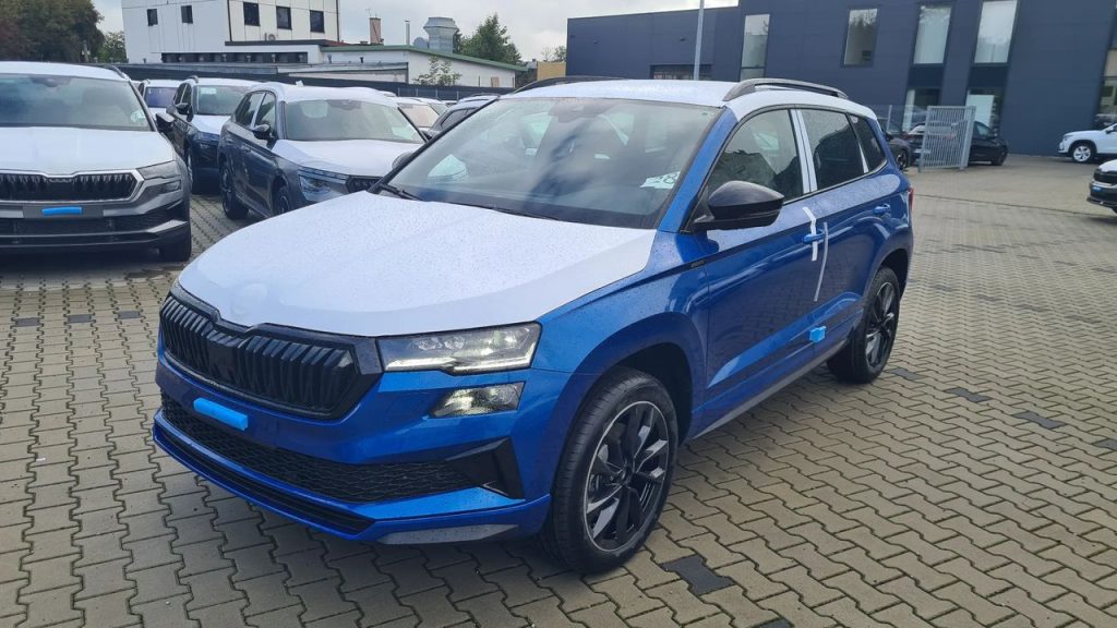 Skoda Karoq 1 9