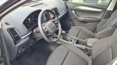 Skoda Karoq 10 13