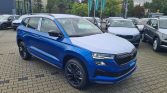 Skoda Karoq 3 9
