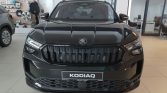 Skoda Kodiaq 2 5