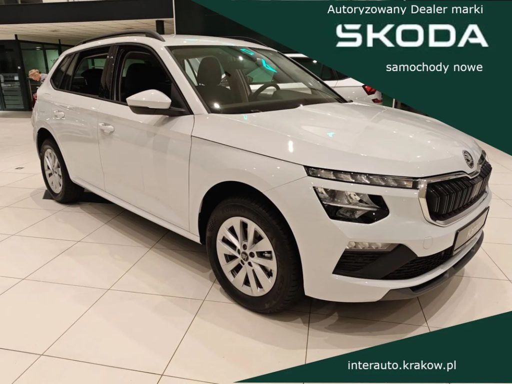 Skoda Kamiq 1