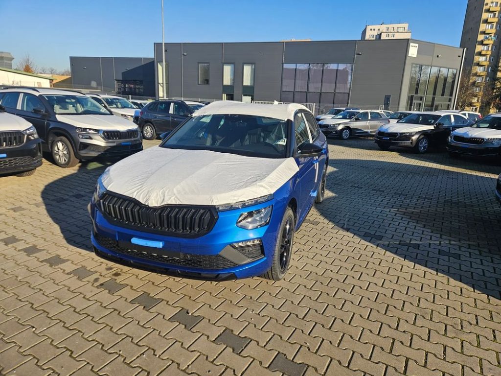 Skoda Kamiq 1 3