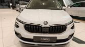 Skoda Kamiq 8