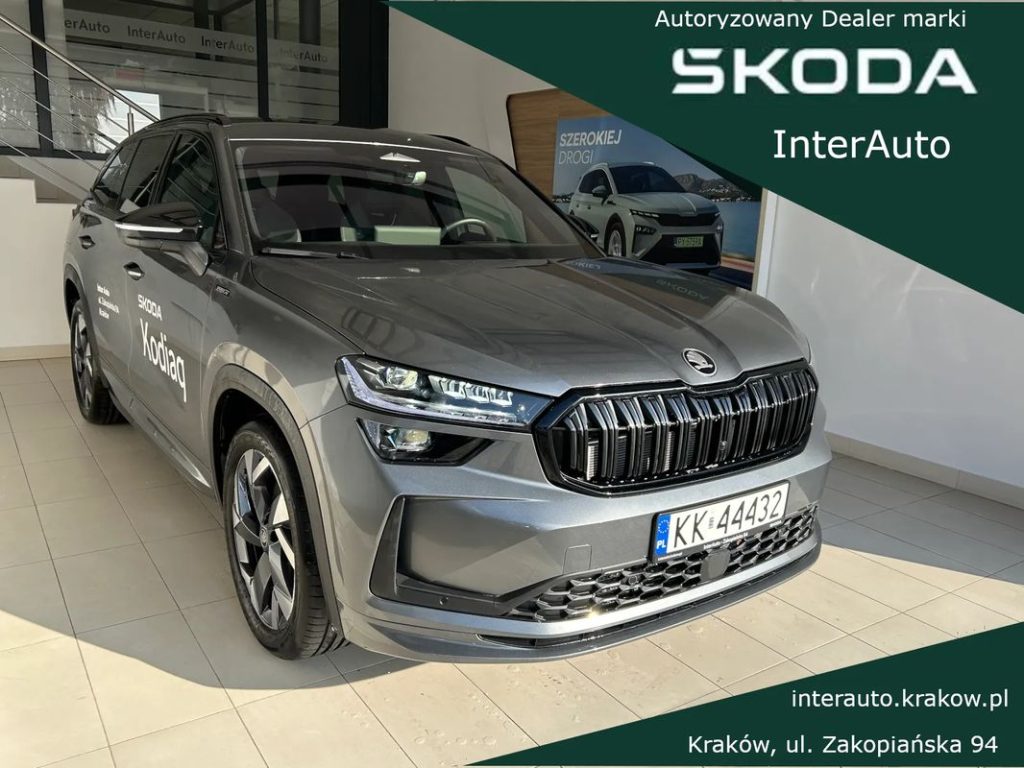 Skoda Kodiaq 1 1