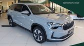 Skoda Kodiaq 1