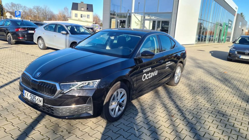 Skoda Octavia 1 10