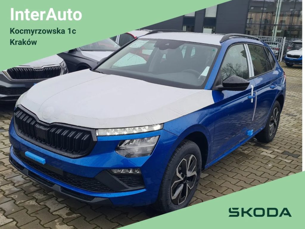 Skoda Kamiq 1 3