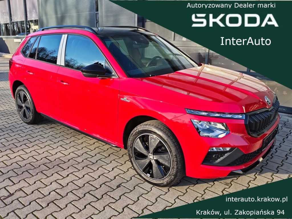 Skoda Kamiq 1 7