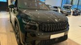 Skoda Kodiaq 3