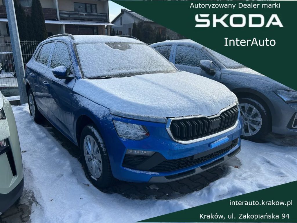 Skoda Kamiq 1 1