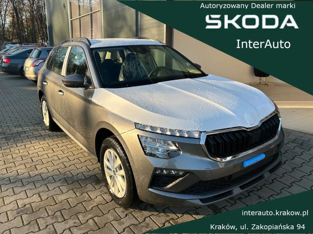 Skoda Kamiq 1