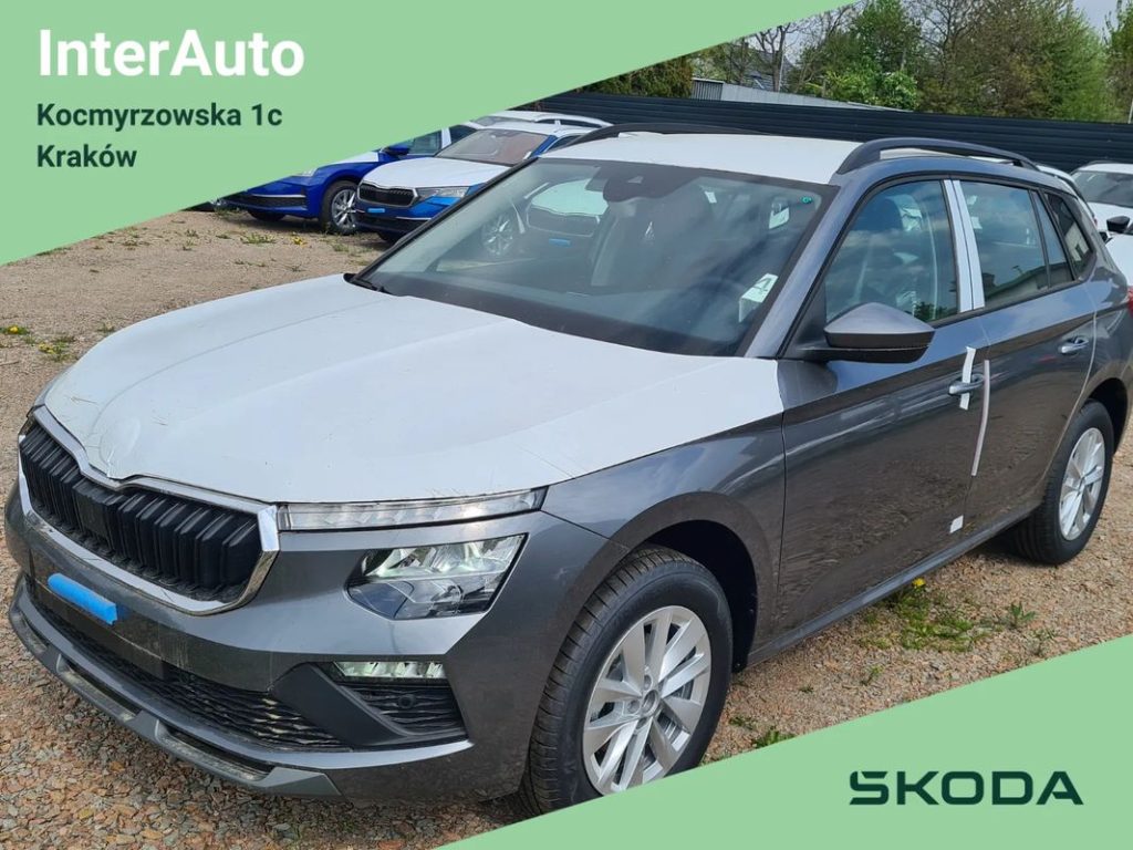 Skoda Kamiq 1 11