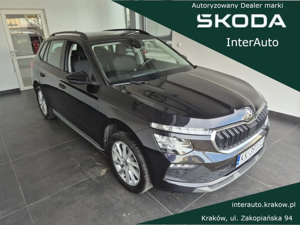 Skoda Kamiq 1 7