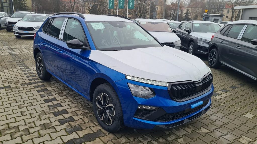 Skoda Kamiq 1 9