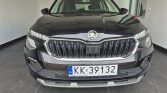 Skoda Kamiq 4 6