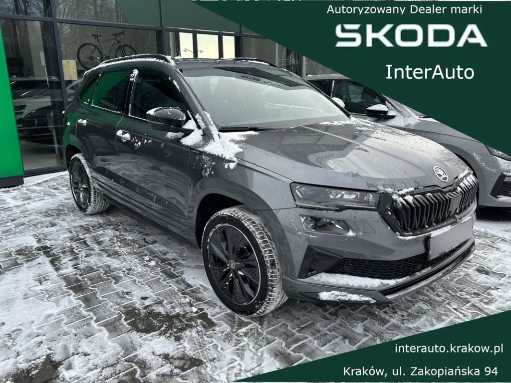 Skoda Karoq 1