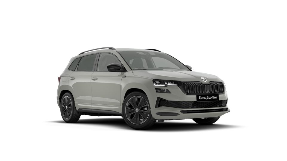Skoda Karoq 1 3
