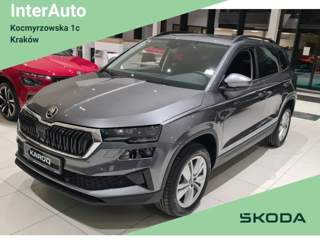 Skoda Karoq 1 6