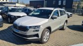 Skoda Karoq 3 7