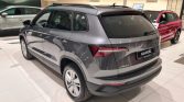 Skoda Karoq 6 5