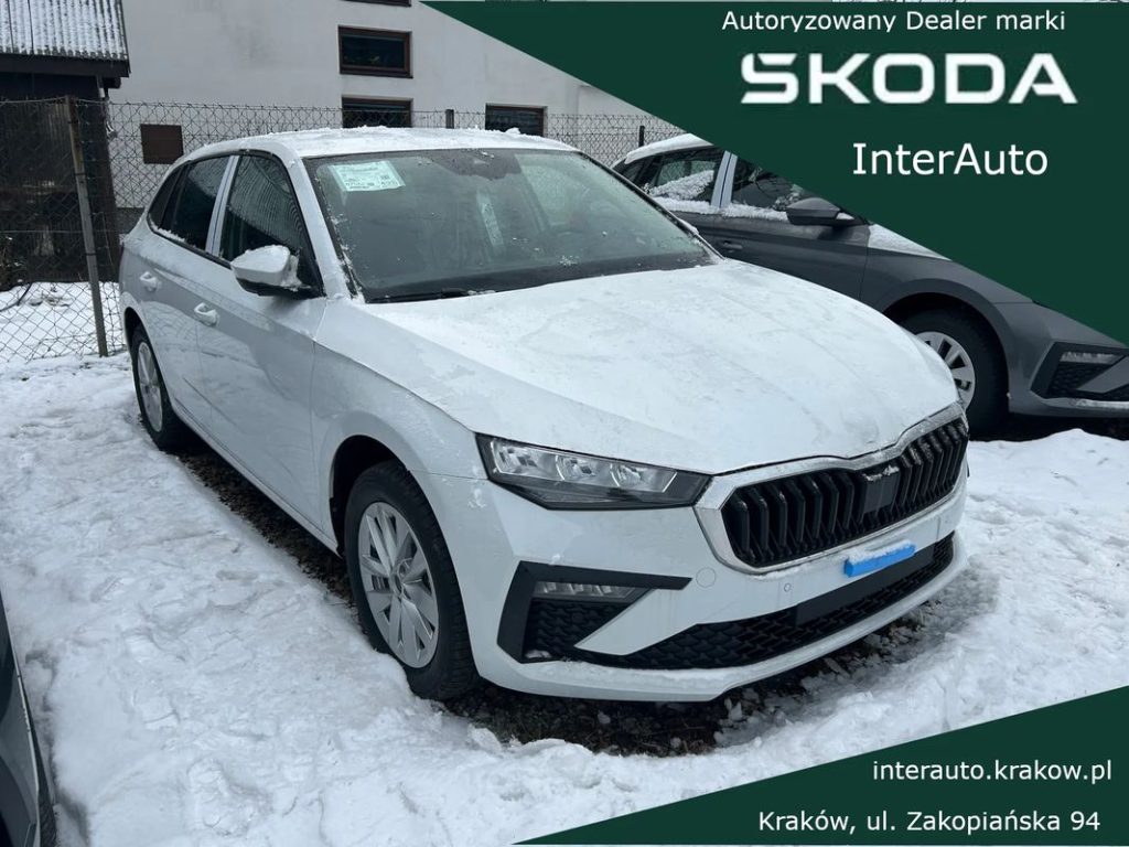 Skoda Scala 1 1