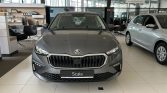 Skoda Scala 12