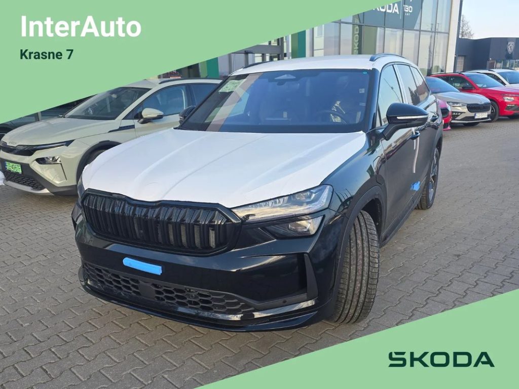 Skoda Kodiaq 1 1