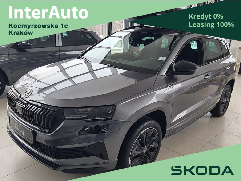 Skoda Karoq 1